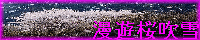 商団 漫遊桜吹雪